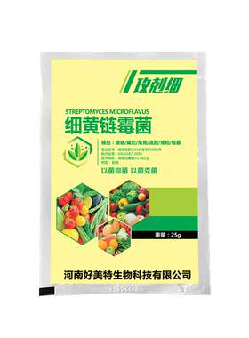 罗汉松白粉病克星快速杀菌脱粉