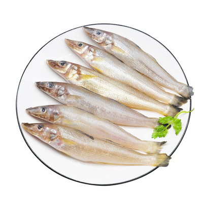 净重4斤青岛海捕去鳞沙丁鱼