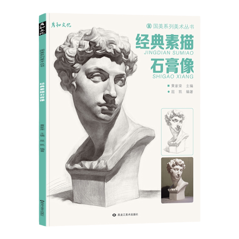 经典素描石膏像五官结构头像临摹范本人头像人物美术生艺考联考肖像画册画画入门照片精选书籍亚历山大伏尔泰小卫头骨教程写实