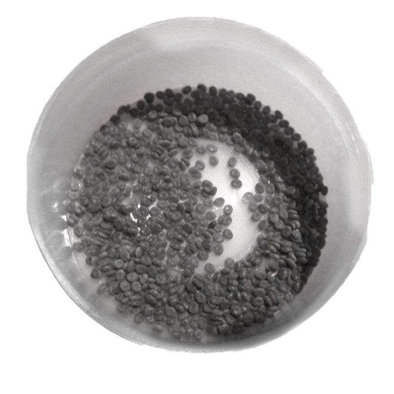 蚕卵春蚕宝宝学生蚕种籽软天然七彩色金丝蚕一整张批量包邮天然彩