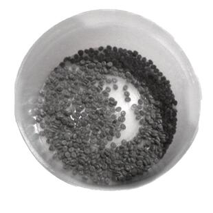蚕卵春蚕宝宝学生蚕种籽软天然七彩色金丝蚕一整张批量包邮天然彩