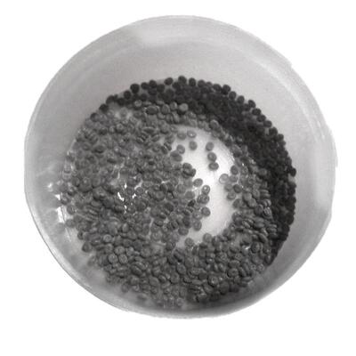 蚕宝宝优质蚕卵学生养蚕春蚕蚕子