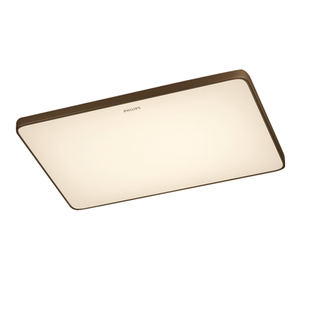 飞利浦悦轩LED吸顶灯客厅卧室灯吊灯官方旗舰店灯具大全现代简约