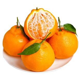 正宗四川春见耙耙柑9斤橘子新鲜水果丑八怪柑橘耙耙桔子水果包邮