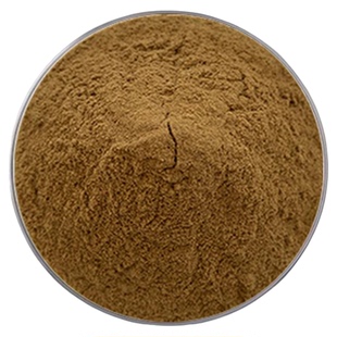 蒲公提取物30:1 黄酮10% 天然蒲公英根原料浓缩萃取精华粉末现货