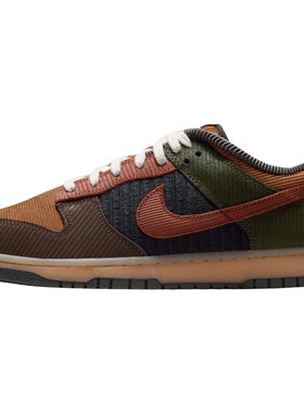 NIKE耐克男子DUNK LOW RETRO PRM运动休闲鞋IB7746-201