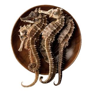 海马干货中药材公母配对一公一母配对泡酒海马煲汤料小海马批发CN