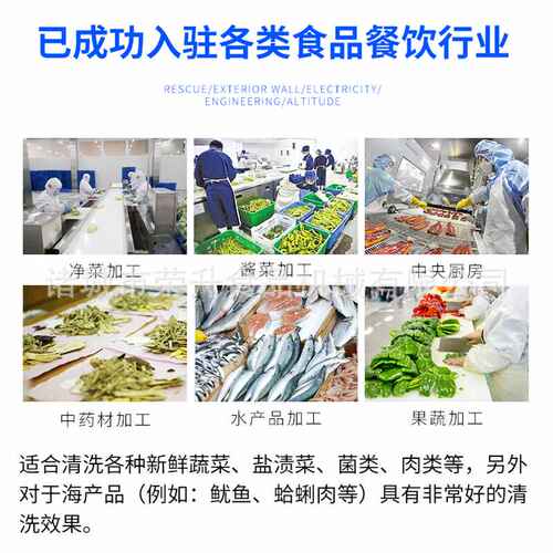 全自动气泡清洗池 鱼类海鲜清洗设备 自动洗鱼机