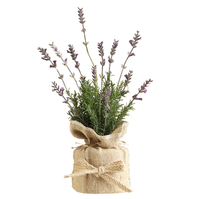 高品质桌面小盆栽仿真植物晶华