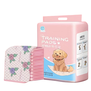 狗狗宠物尿垫加厚瞬吸防漏边背胶消臭印花隔尿垫幼犬训练专用家用