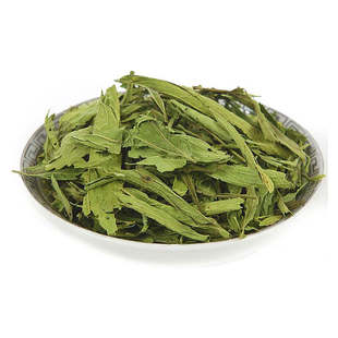 甜味植物 甜叶菊种子 秋播香草种子可泡茶阳台 花卉种子