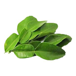 新鲜柠檬叶青柠叶西餐厅香料料理烹饪冷饮奶茶店调料冬阴功汤原料