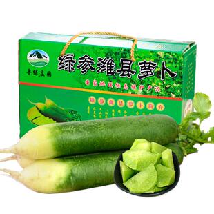 潍坊水果萝卜新鲜甜脆水果型萝卜顺丰青紫美人冰淇淋凤梨胡红萝卜