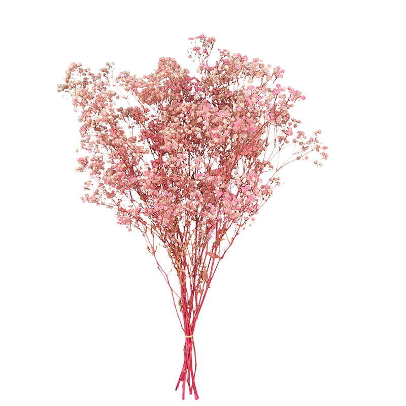滿天星永生干花束 百搭情人草客廳裝飾擺設(shè)真花diy花材云南保鮮花