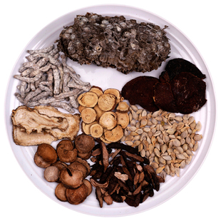 消核汤药材1付量朱良春方剂蜂房僵蚕乳腺问题结节禾和本草7付包邮