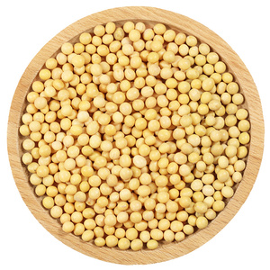 黄豆农家自种非转基因打豆浆专用批发干货大豆芽老品种小黄豆种子