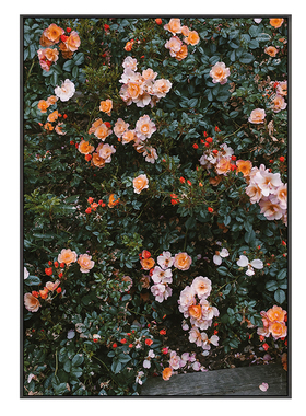 北欧植物花卉玄关装饰画复古玫瑰客厅挂画餐厅壁画ins卧室落地画