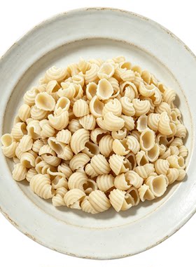 正宗陕西麻食面家常烩麻食传统