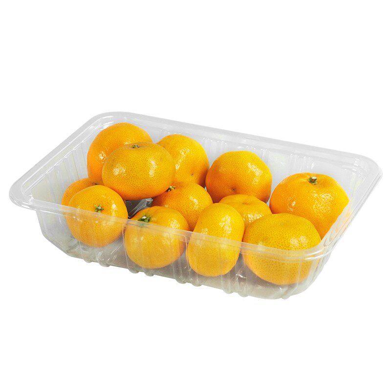 一次性水果盒无盖塑料包装盒批发