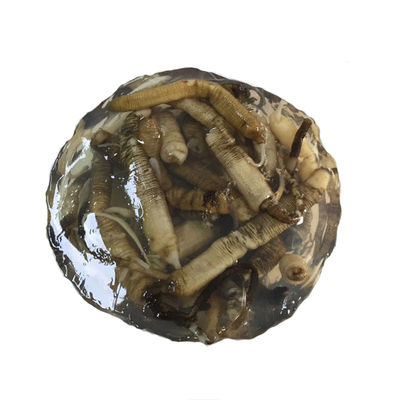 三都每份20片加料厦门特产土笋冻