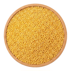 宠帮仕精选黄谷子鹦鹉鸟食玄凤虎皮鹦鹉粮高品质黄谷子大容量鸟粮