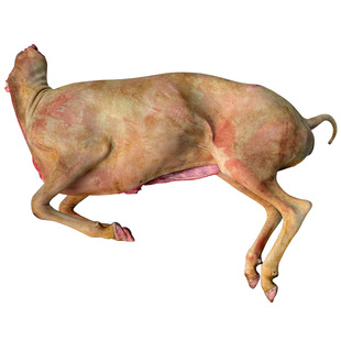 广西黑山羊前夹新鲜现杀整只羊带皮羊排烧烤带皮羊腿半只正宗山羊