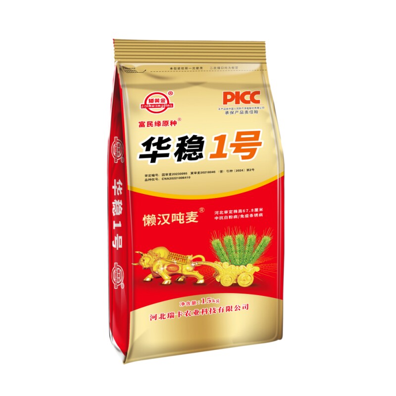 矮杆大穗懒汉吨麦华稳1号