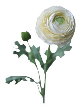 拱门婚庆布置花材雏菊手捧花