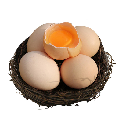 正宗农家散养土鸡蛋整箱顺丰包邮