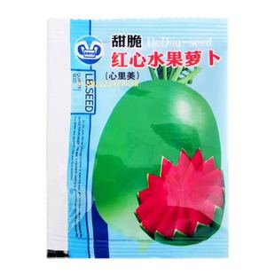 心里美萝卜种籽甜脆青皮红心水果萝卜种子生吃农家菜园庭院蔬菜孑