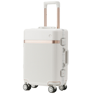 丹尼袋鼠行李箱女拉杆箱20登机大容量24旅行男26寸密码万向轮静音