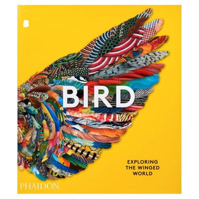 鸟探索有翅膀的世界科学科普