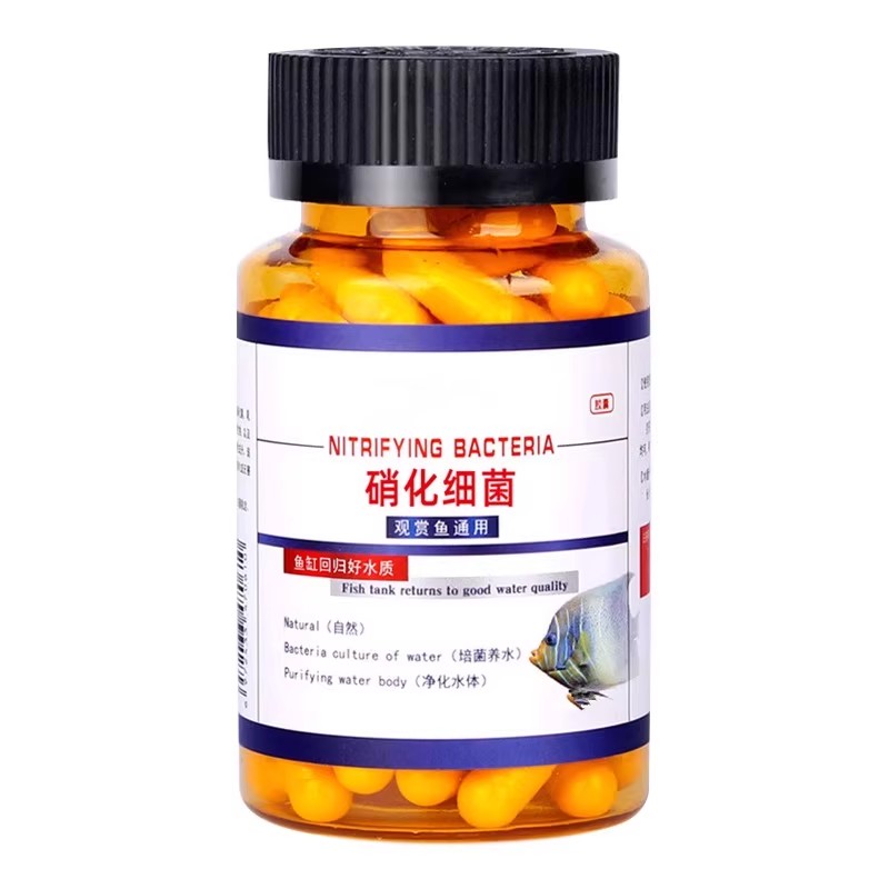 硝化细菌鱼缸用专用胶囊净水剂颗粒活菌干粉水质稳定净化水族鱼用
