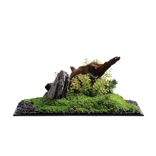 天青苔绿 方形亚克力永生苔藓景观 样板房客厅售楼处桌面摆件