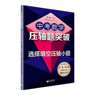 中考数学压轴题突破几何综合大题/选择填空压轴小题/坐标系内的几何代数综合大题 初中数学七八九年级2021中考数学刷题专项练习