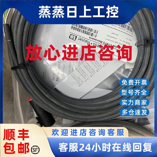 议价EH原装CPS11D电极电缆CYK10-E101电缆10米防爆CYK10-G101