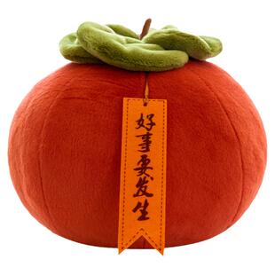 仿真柿子抱枕毛绒玩具软公仔ins靠垫圆形柿柿如意摆件好事要发生