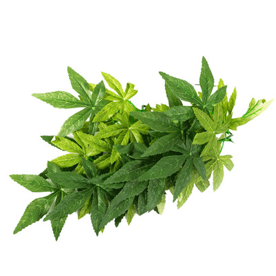 reptizoo爬虫仿真蜥蜴藤蔓饲养箱