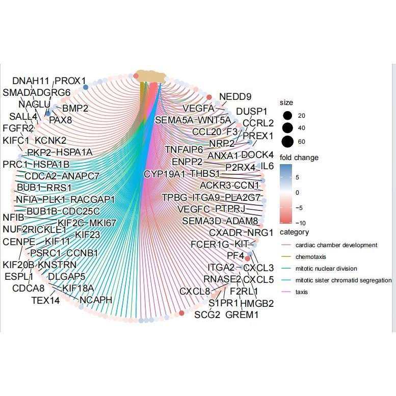 孟德尔随机化 MR 双样本 多组学 药靶 孟德尔作图 TCGAGEO 数据库
