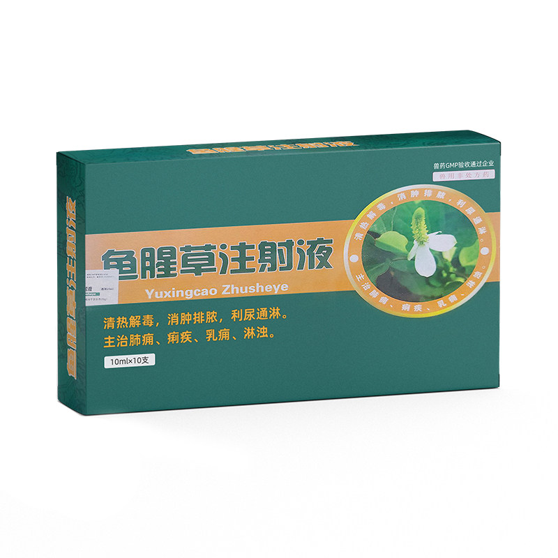 猪牛羊腥草注射液产后消炎兽用药