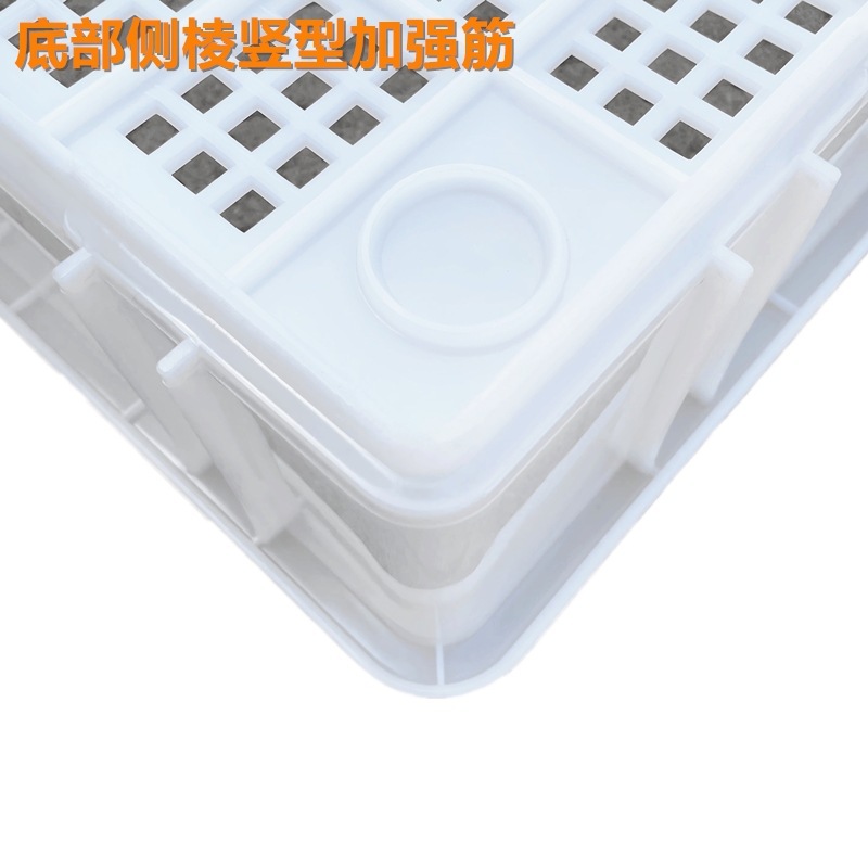 羽佳厂家塑料镂空冷冻烘干筐盘食品晾晒网格蔬菜水果周转筐盘盘