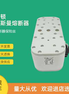 议价全新快速熔断器保险170M7622 170M7633 170M7636 170M7639