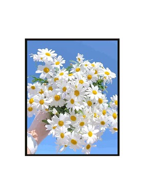数字油画花卉简单填充diy油彩画