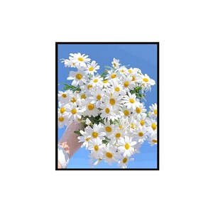数字油画花卉简单填充diy油彩画