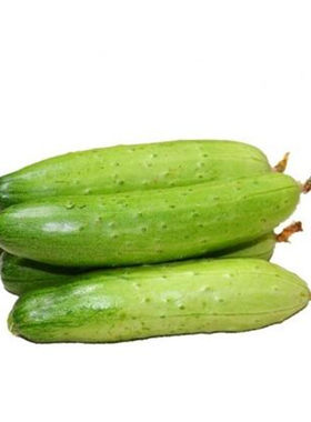 30种易种蔬菜瓜果类冬瓜苦瓜笋瓜