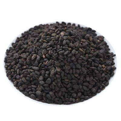 野生补骨脂正品500g中药材可打粉