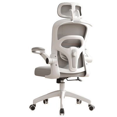 电脑椅久坐不累家用办公椅子舒适电竞座椅升降学习护腰人体工学椅