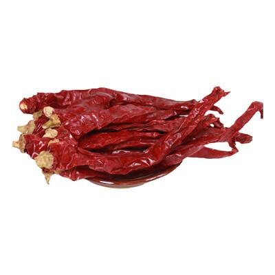 贵州产地直供精品二荆条灯笼椒