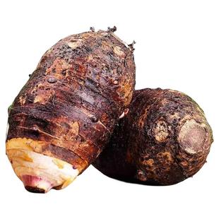 广西荔浦新鲜大芋头粉糯香农家特产紫藤毛芋头香槟榔芋商用芋泥甜