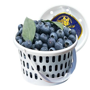 【整桶发】桶装花香蓝莓一斤装云南亮眼莓L25当季新鲜绿叶水果